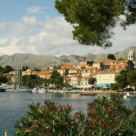 Boskovic * Cilipi